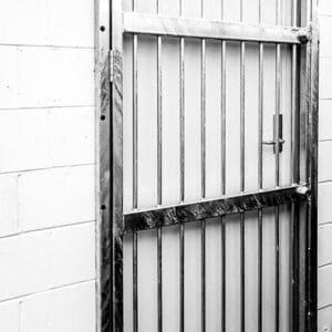 Security-Door-Steel-Bar-Gate-Auckland-Xpanda