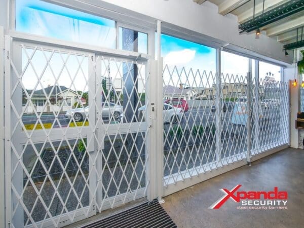 Retractable Security Grille